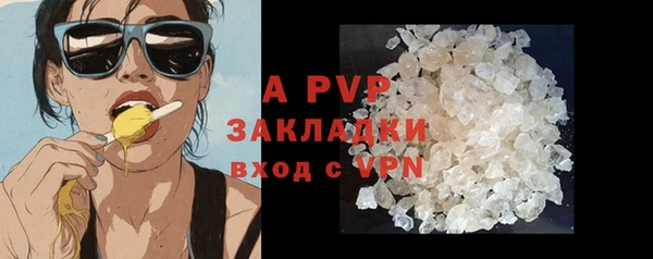 шишки Верхний Тагил