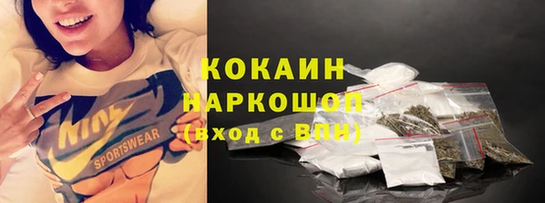 шишки Верхний Тагил