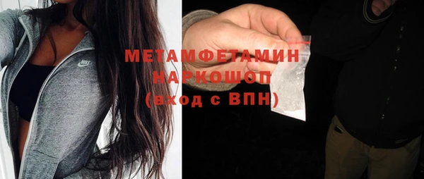шишки Верхний Тагил