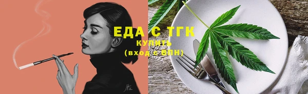 шишки Верхний Тагил