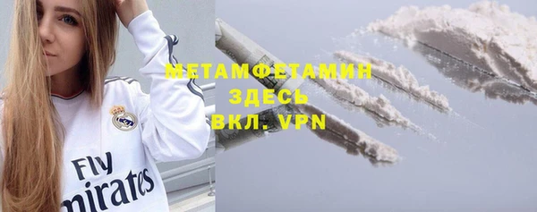 шишки Верхний Тагил