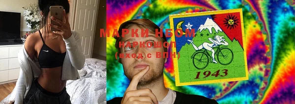 шишки Верхний Тагил
